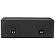 GAS Audio Power Gepoorte Subwooferkist 2x10 GAS Audio Power Gepoorte Subwooferkist 2x10