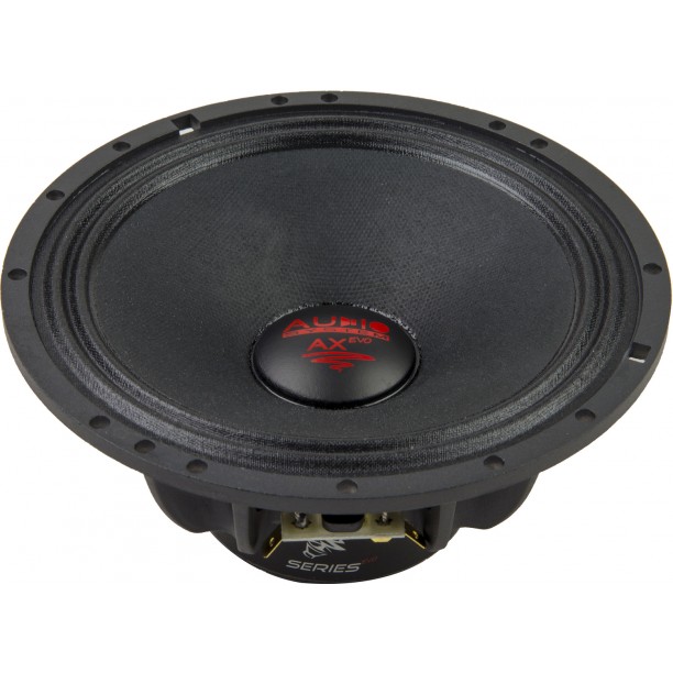 AUDIO SYSTEM 165 mm PA Midrange Woofer AUDIO SYSTEM 165 mm PA Midrange Woofer