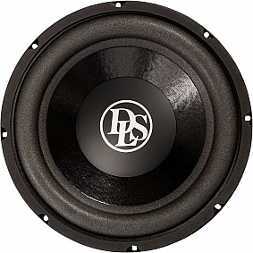 DLS 10