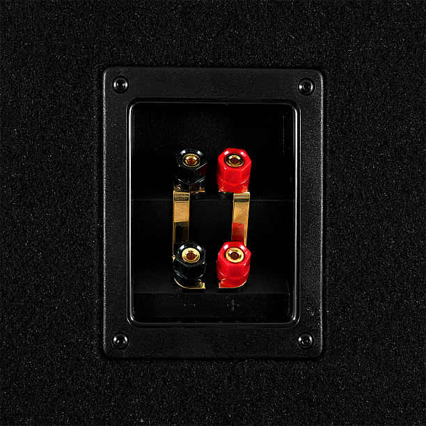 GAS MAD Level 1 Loaded enclosure 2x12 GAS MAD Level 1 Loaded enclosure 2x12