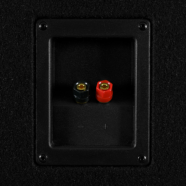 GAS MAD Level 1 Loaded enclosure 3x10 GAS MAD Level 1 Loaded enclosure 3x10
