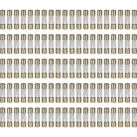 AGU zekeringen 10 ampère (zilver) 100 stuks los