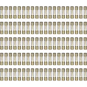 AGU zekeringen 10 ampère (goud) 100 stuks los