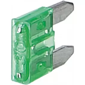 mini zekering 30 Ampere (50 stuks)