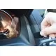 Houder - Brodit Proclip - BMW 850 2019-> Center mount