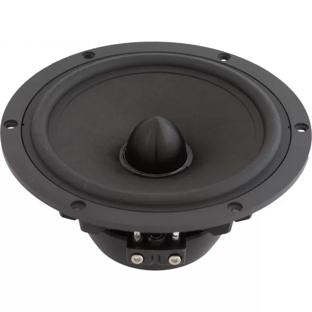 AUDIO SYSTEM AVALANCHE-SERIES 165mm ABSOLUTE HIGH END Midrange Woofer AUDIO SYSTEM AVALANCHE-SERIES 165mm ABSOLUTE HIGH END Midrange Woofer