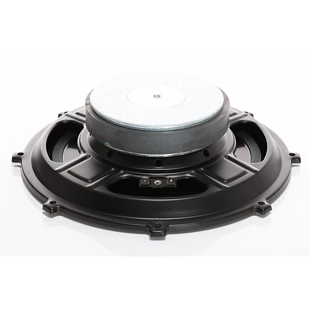 AUDIO SYSTEM 250mm speciale flat woofer 2 Ohm 250/180 Watt (1 stuk)