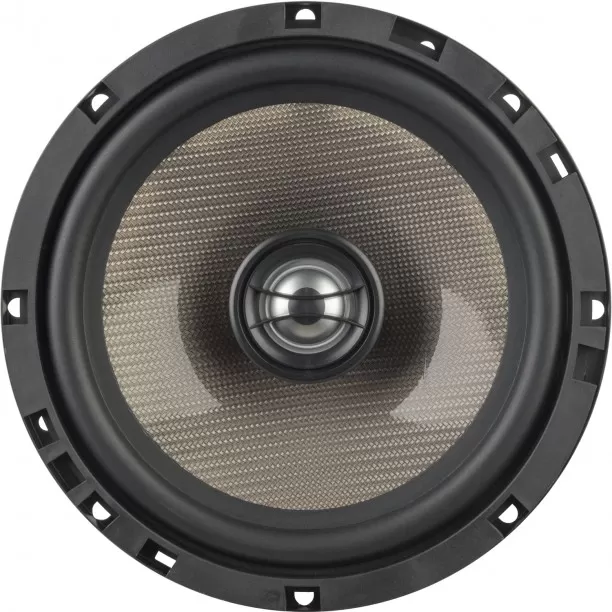 Carbon- Series 165mm set Coax System 2x110/70 watt