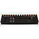 GAS MAD Level 1 Mono amplifier