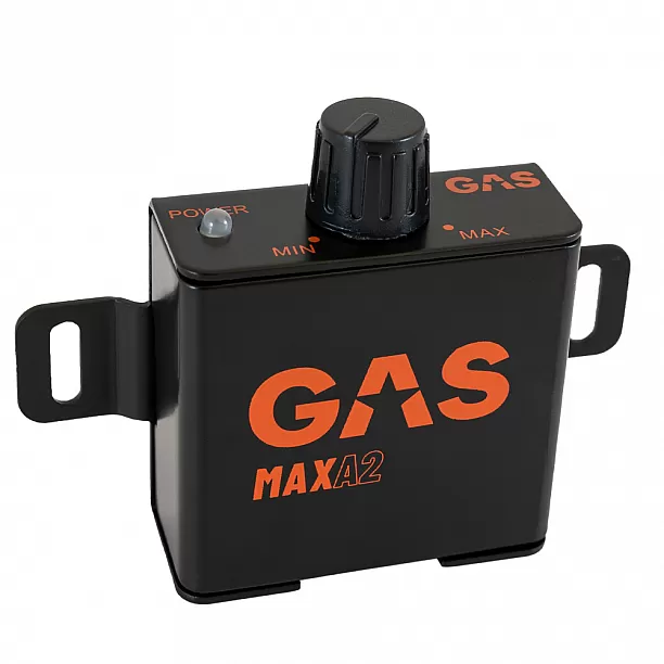 GAS MAX Level 2 Mono amplifier GAS MAX Level 2 Mono amplifier