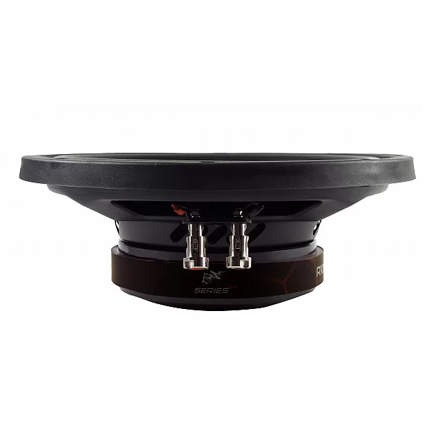 RADION-Serie 250 mm FLAT - Subwoofer400/300 watt RADION-Serie 250 mm FLAT - Subwoofer400/300 watt