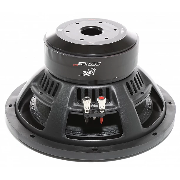 RADION-Serie 300 mm HIGH EFFICIENT Subwoofer 2x 500/300 Watt RADION-Serie 300 mm HIGH EFFICIENT Subwoofer 2x 500/300 Watt
