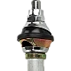 Calearo Telescopische antenne AM / FM motorantenne (spatbord) chroom 15-7677151 Calearo Telescopische antenne AM / FM motorantenne (spatbord) chroom 15-7677151
