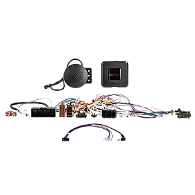 Stuurwiel bediening Ford Diverste Voertuigen 24Pin/Display Multilead