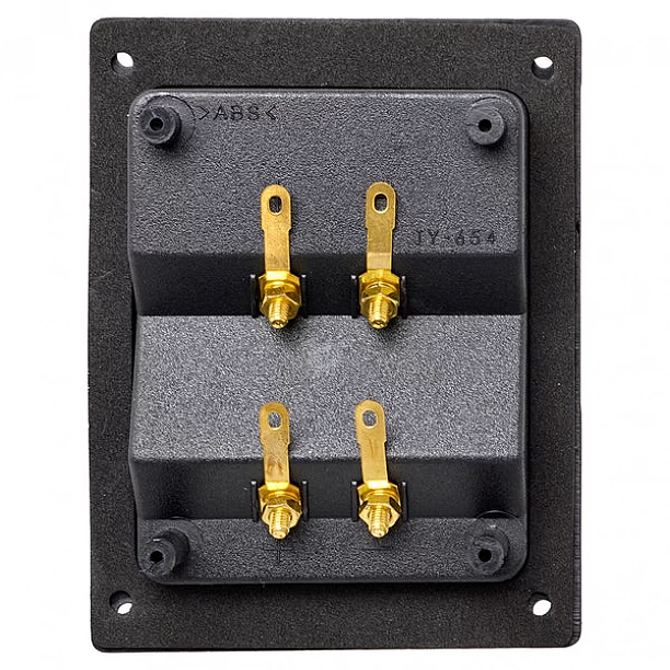 Auto-Connect Level 2 Dual speaker terminal