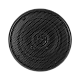 DLS 4