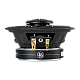 DLS 4